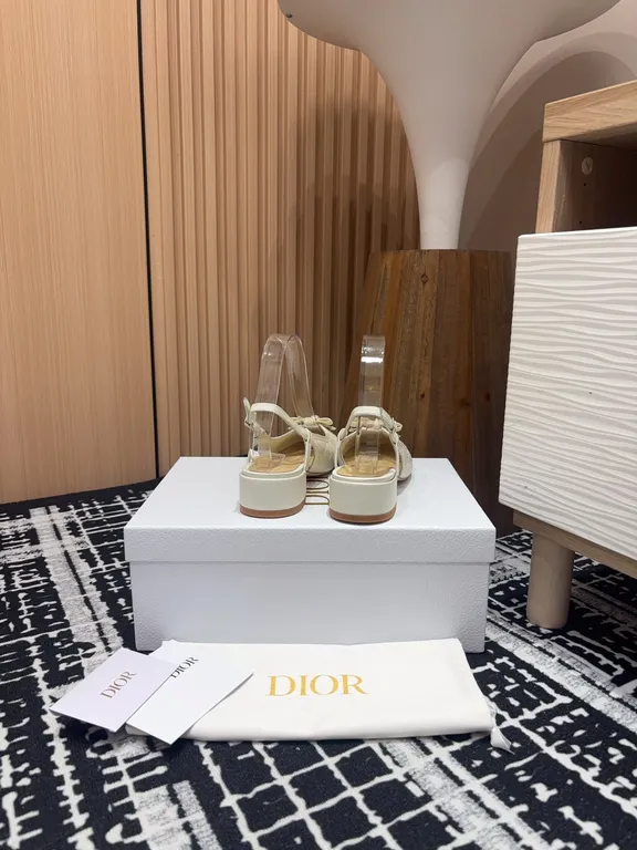 Dior Shoe 